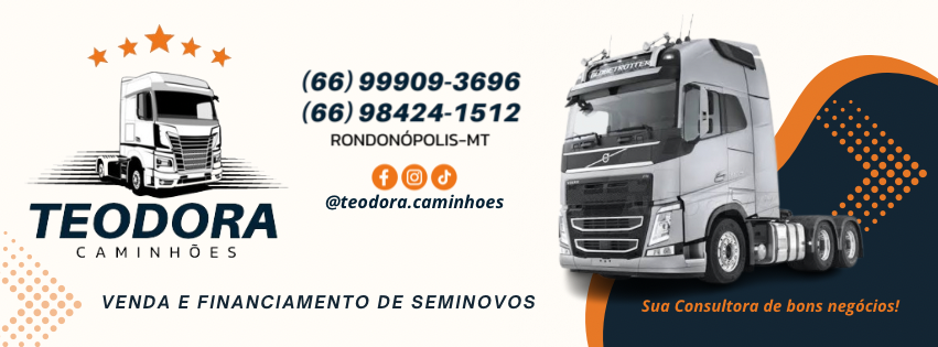Identidade visual Teodora Caminhões